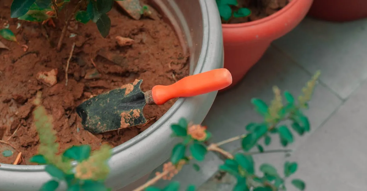 découvrez comment cultiver des patates douces en pots facilement chez vous, avec des conseils pratiques pour un rendement optimal et une culture réussie.
