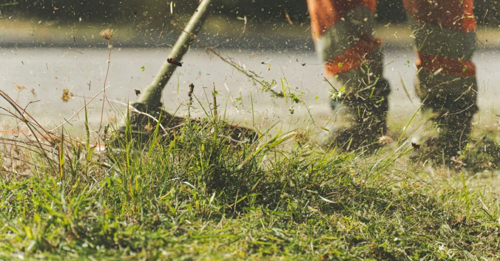 conseils et astuces pour l'entretien de votre jardin et de votre maison afin de préserver leur beauté et fonctionnalité toute l'année.